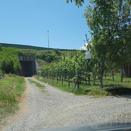 Buio Pesto B&B Ceparana Exterior photo